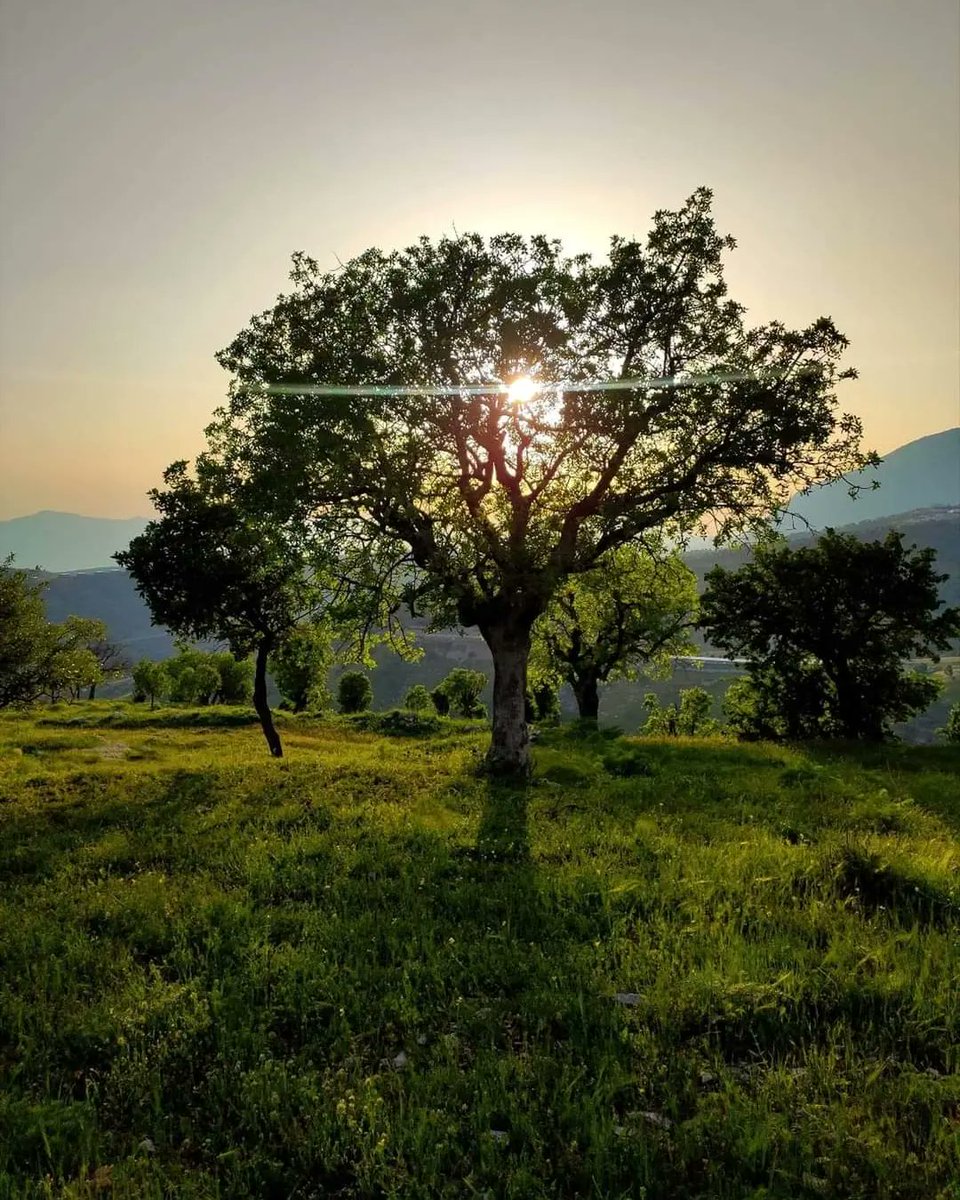 الطبيعة في إقليم كوردستان العراق 🌳