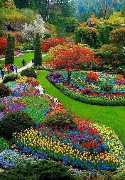 Butchart Gardens in Brentwood Bay 🌺 #canada