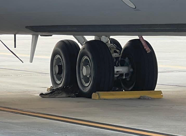 To stop an aircraft moving, we use Wheel Crocs.