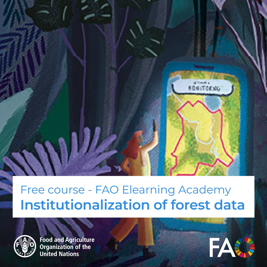 🎓 Free FAO elearning Academy course: Institutionalization of forest data 🌴 Discover the crucial significance of institutionalizing a robust national forest monitoring system (NFMS) within countries Register now! ➡️ ow.ly/YBcS50Q70Oi @FAOKnowledge