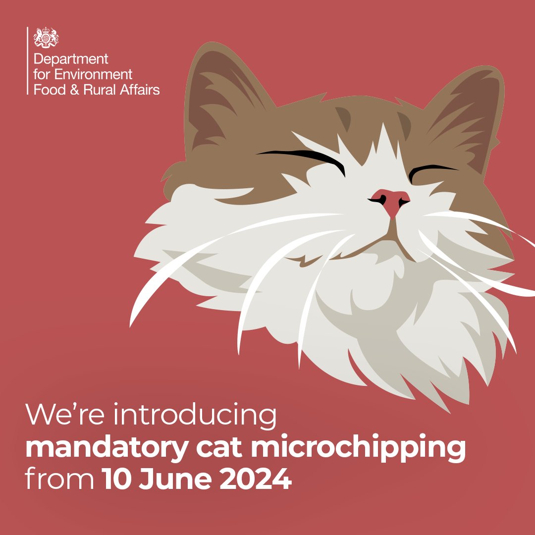 A reminder for all cat owners! 🐱 From 10 June 2024 cats over 20 weeks old must be #microchipped and registered on a compliant database 📆 Read about Simba, whose microchip helped reunite him with his owner: cats.org.uk/mediacentre/pr… #AnimalWelfare #CatMicrochipping