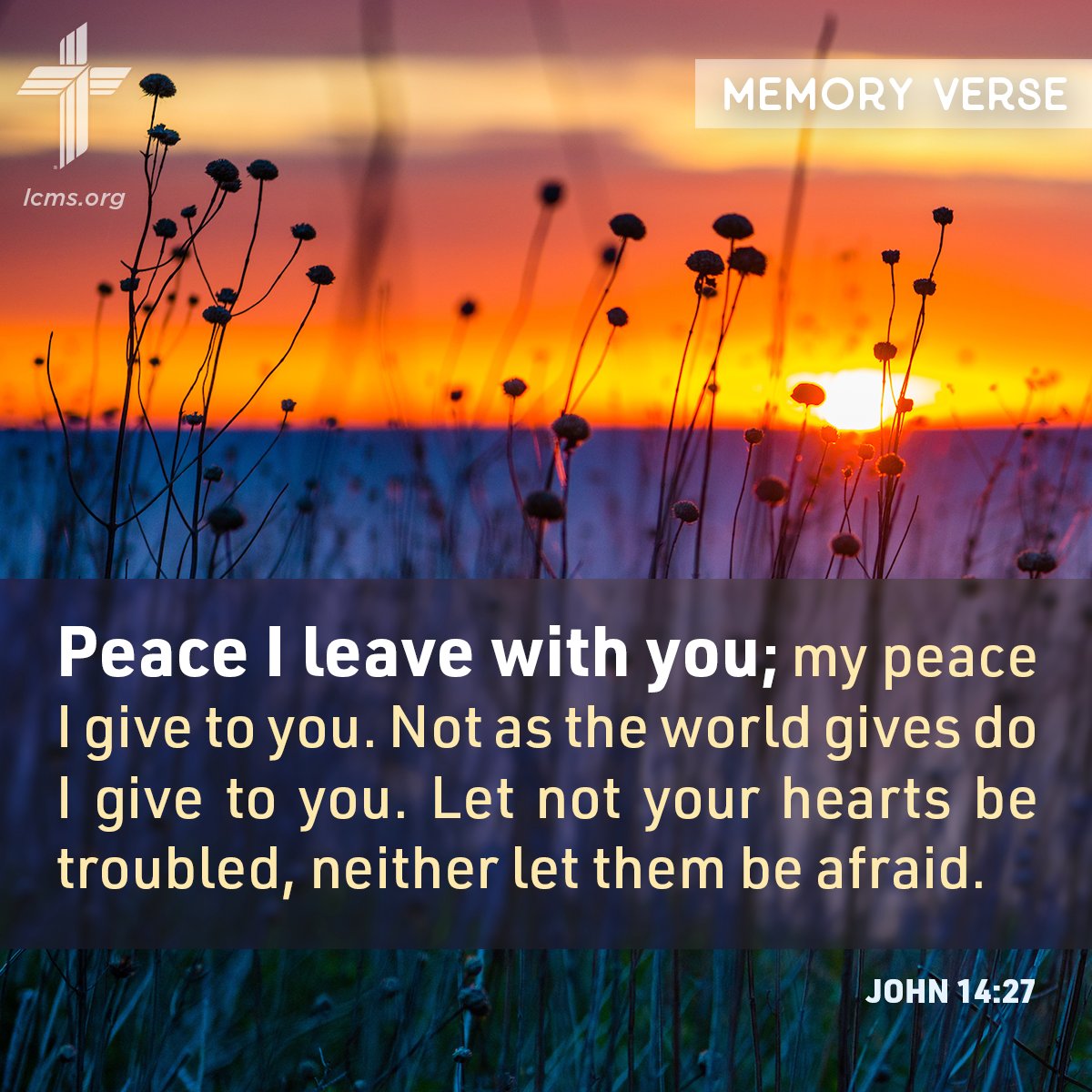 We invite you to memorize John 14:27 with us this week.
Memorizing Scripture is a valuable practice for Christians, even in a digital age. Join us each week as we hide God's Word in our hearts (Psalm 119:11).
Full list at lcms.org/memoryverse.
#memoryverse