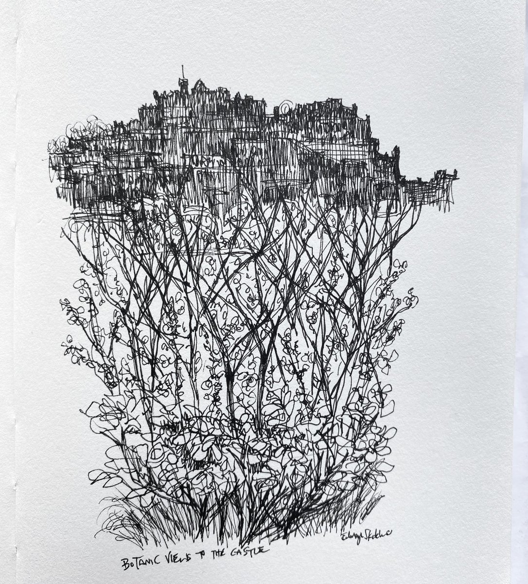 Another from yesterdays trip to the #botanics #edinburghcastle in the distance. Quite like the black ink only version before I added the wash. May make this a print if anyone’s interested ?!

#edinburgh #sketcher