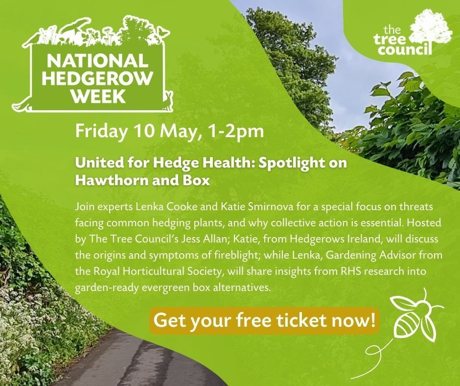 We have a series of FREE webinars coming up during National Hedgerow Week next month! Follow the link to our website below to sign up to our Hedge Talks! #NationalHedgerowWeek2024 #NHW buff.ly/3xZGcGx