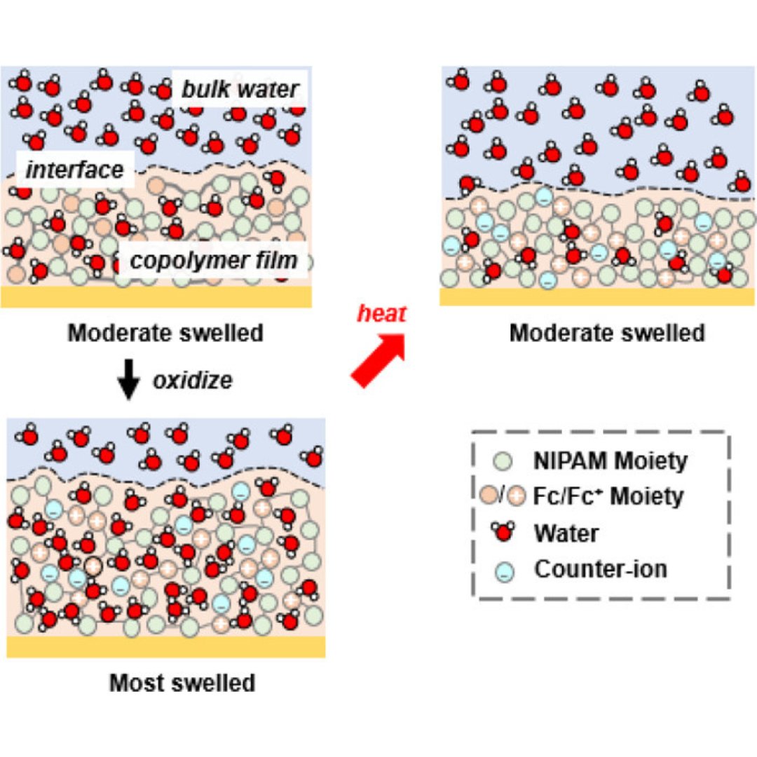 Thermo-Electro-Responsive Redox-Copolymers for Amplified Solvation, Morphological Control, and Tunable Ion Interactions Raylin Chen, Hanyu Wang, Mathieu Doucet, James F. Browning, and Xiao Su Find out more 👉 go.acs.org/94P