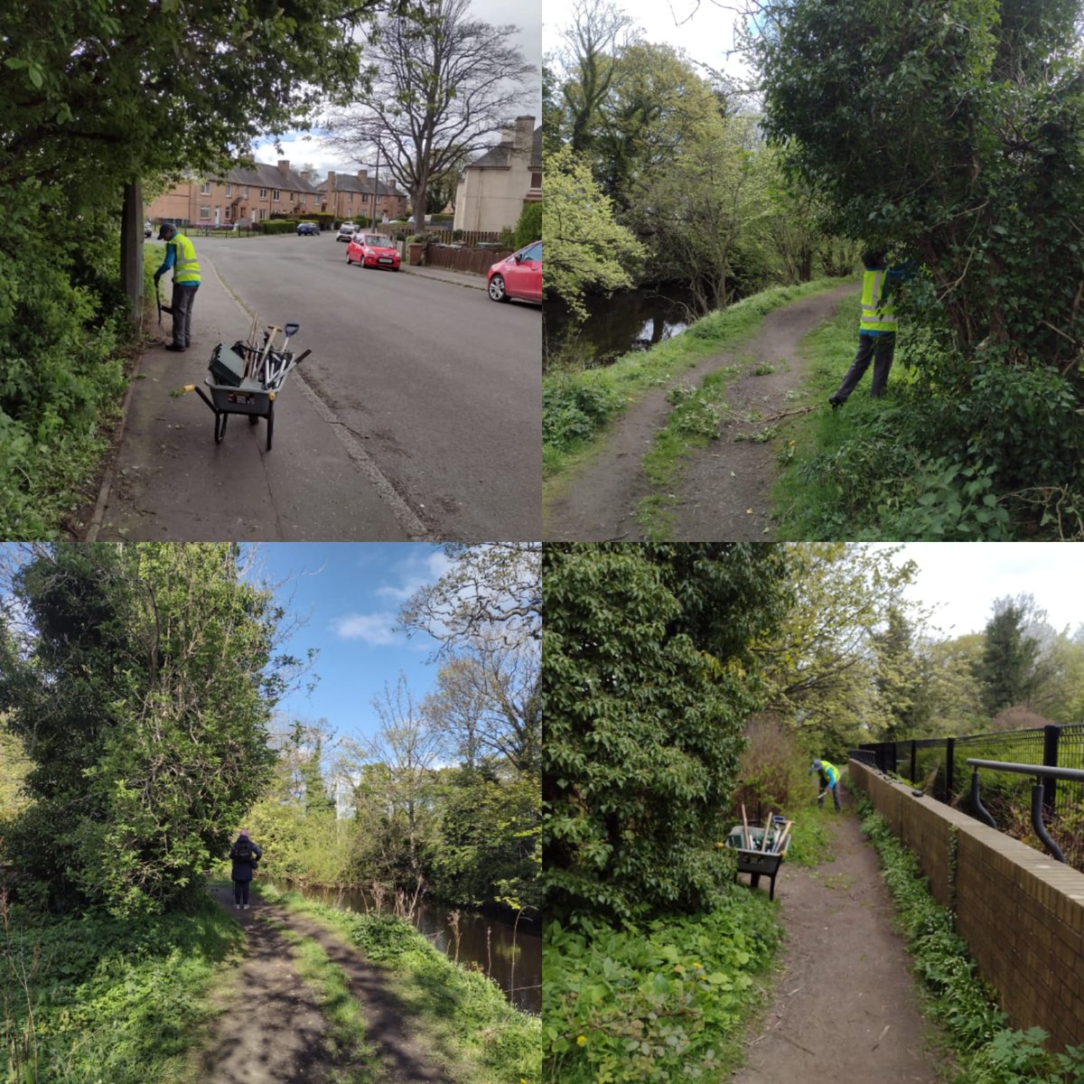 4th day of spraying #GiantHogweed this week for our trained team with 1449 seedlings treated to date. In addition another pile of rubbish collected locally by our wombles and a trim back of the paths from Fords Rd to Saughton weir @Edinburgh_CC #INNS @KSBScotland @PathsforAll