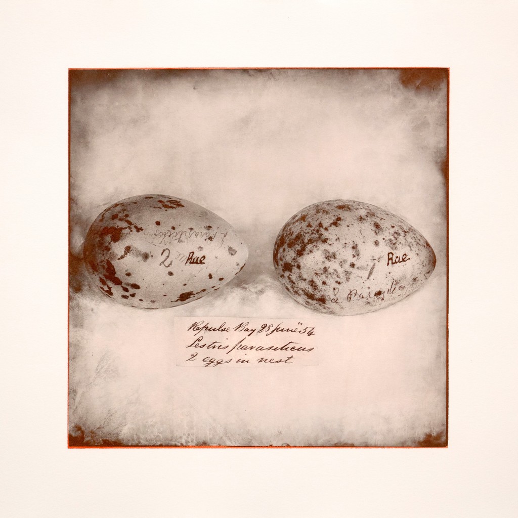 CHRISTINE FITZGERALD – Requiem
2023 Karsh Award Laureate

Curator: Melissa Rombout

May 9 to July 21, 2024 
Opening: Thursday, May 9, 5:30 to 7:30 pm 
KARSH-MASSON GALLERY, 110 Laurier Ave. West
🌐ottawa.ca/kmgallery #KarshMasson

📷 @CFitzgerald2016