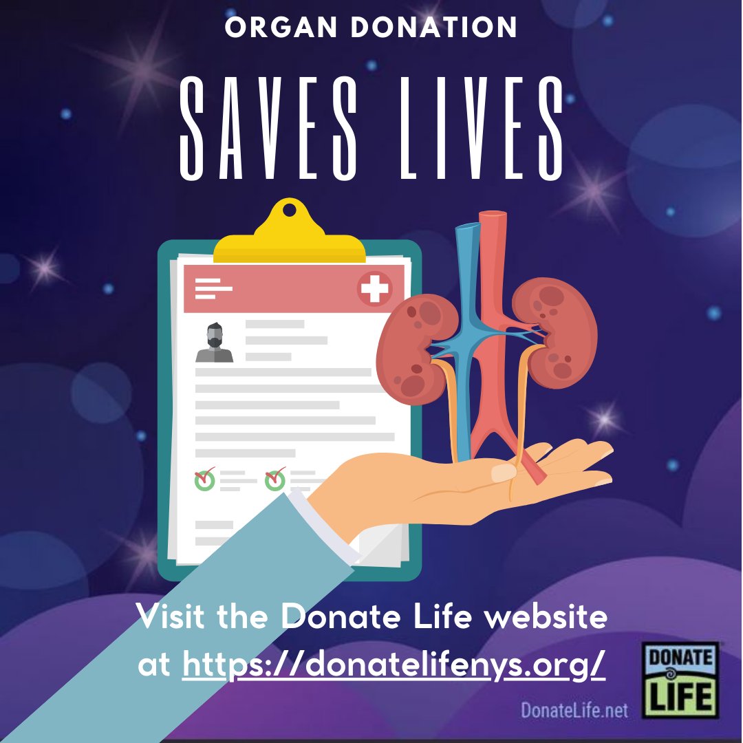 3,500 lifesaving organ transplants were performed in New York State last year! Together we can save more. #OntarioCountyNY #OntarioCounty #DonateLifeMonth #NationalDonateLifeMonth #OrganDonor #OrganTransplant #SaveALife #