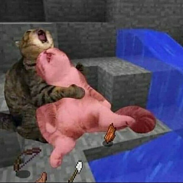 PunchingCat's tweet image. 