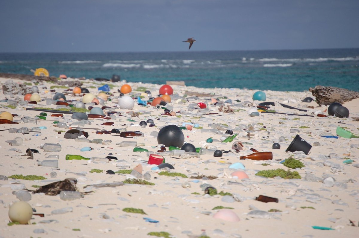 It's estimated that around 14 million tons of plastic find their way into the ocean every year, creating a staggering 28 billion pounds of marine pollution. Photo by Susan White / @USFWS