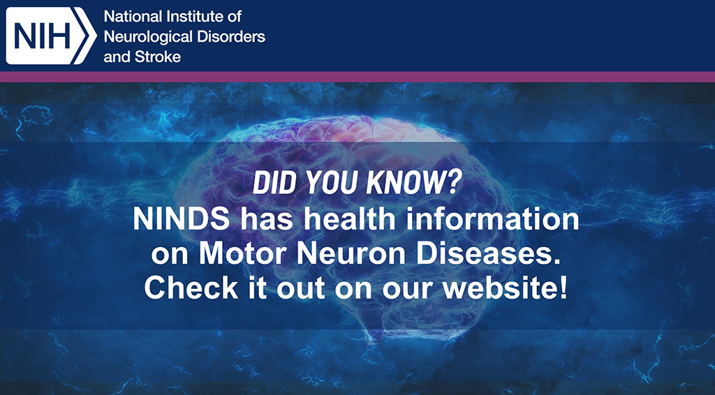Motor neuron diseases are a group of progressive neurological disorders that destroy motor neurons, the cells that control skeletal muscle activity such as walking, breathing, speaking, and swallowing. Learn more on the NINDS Health Information page: ninds.nih.gov/health-informa….
