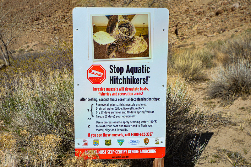 🌞It's all sunshine and BBQs until your boat catches the STD of the Sea. 🚤We mean Skiff-Transmitted Diseases! Help stop the spread of invasive species this summer & practice safe skippering. @UtahDWR has some great tips: stdofthesea.utah.gov #publiclands #Utah