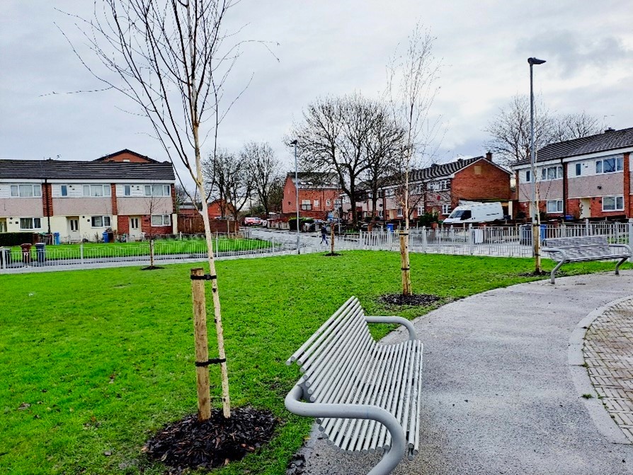 After a consultation with local residents, several sites in Miles Platting are set to see new trees, wildflowers, and hedges planted to enhance existing greenery & improve biodiversity 💚

Watch this space for more updates!

#greenspacesfund #greeningGM