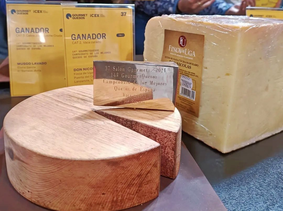 #NOTICIÓN 
🧀 DON NICOLÁS de la quesería Finca de Uga, de Lanzarote,  es el #GANADOR ABSOLUTO de la 14ª edición deGourmetQuesos,Campeonato de Los Mejores Quesos de España 2024.  🙌 MEJOR QUESO DE ESPAÑA.
Es un quesazo de leche de vaca de pasta cocida madurado entre 18 y 24 meses.