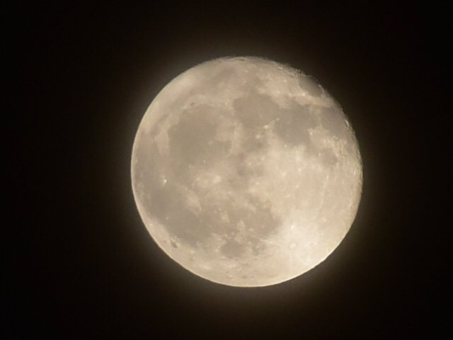 今夜は月が見えました🌕
#イマツキ
#十六夜月