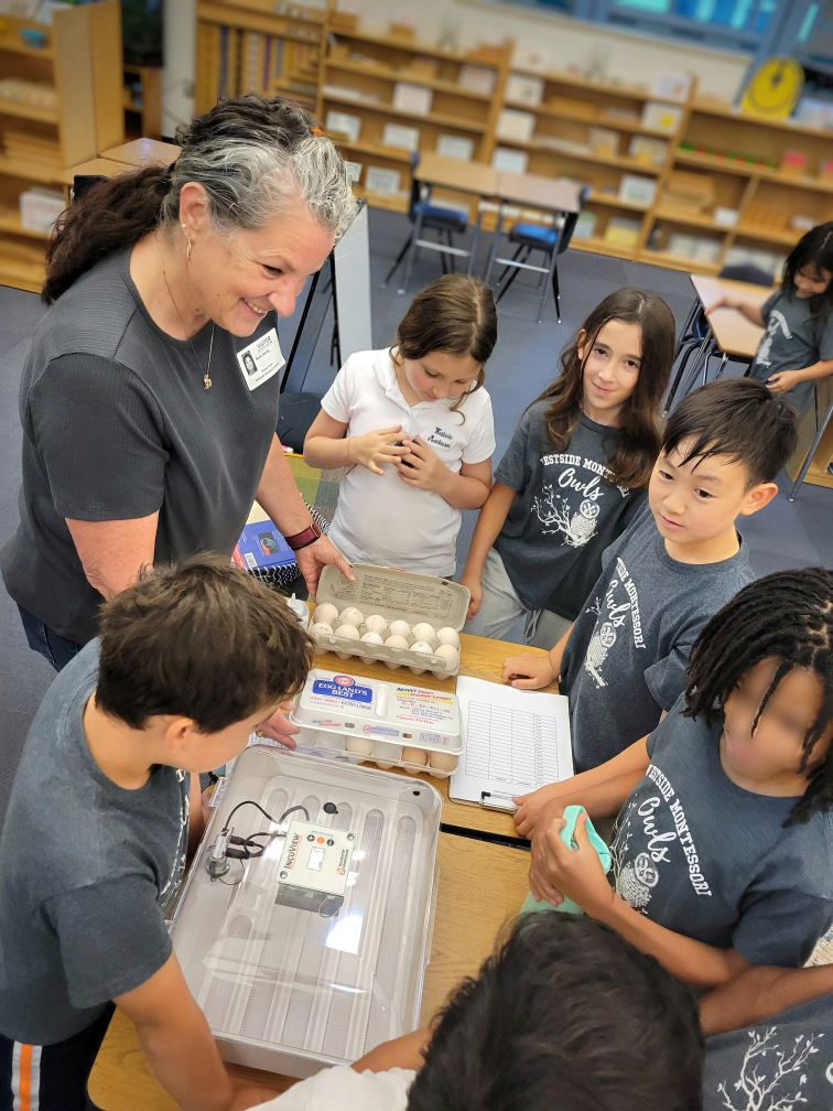 MontessoriHTX's tweet image. 🐣 Last week was filled with excitement as we welcomed Ms. Haley&apos;s family to teach our #LowerElementary #students about the process of hatching live turkeys &amp;amp; chickens. 🦃A HUGE #thankyou to them for their dedication to enriching our students&apos; learning experience! 🙌

#Montessori
