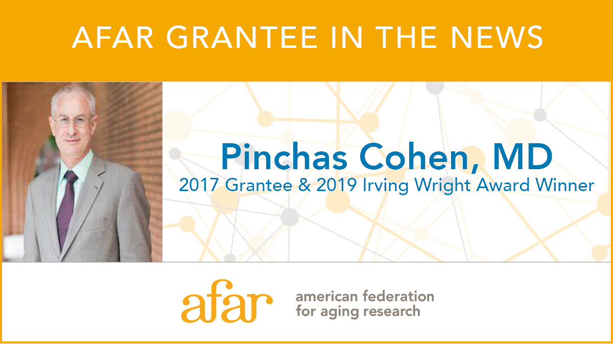 AFAR congratulates '17 grantee & '19 Irving Wright Award Winner Pinchas Cohen, MD, on being elected as a 2024 Fellow of the American Association for the Advancement of Science. ow.ly/5Hxa50Rnpos @uscgerodean @aas.org  @USCLeonardDavis #healthspan #agingresearch