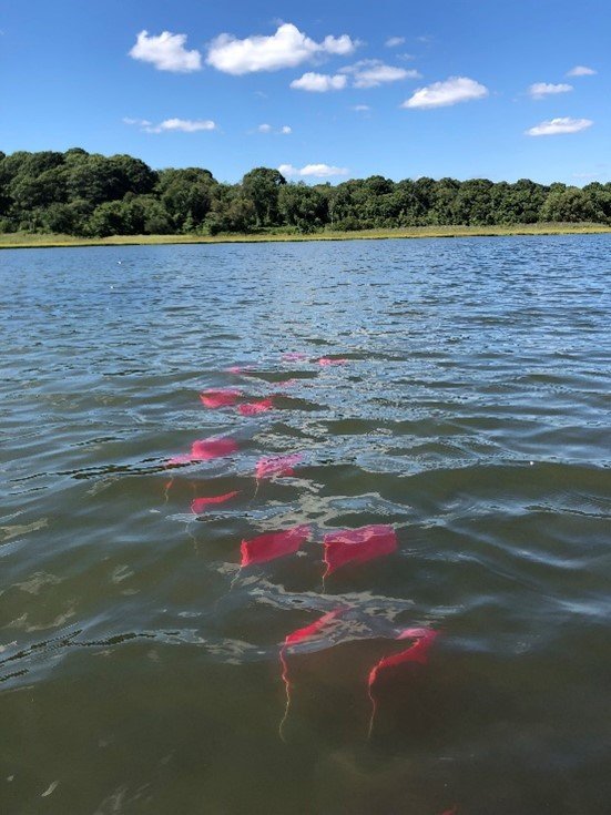 For National DNA Day, learn about how our researchers are comparing eRNA and eDNA to analyze diversity in microscopic communities, estuaries, and sediments >>> epa.gov/sciencematters… #DNADay24