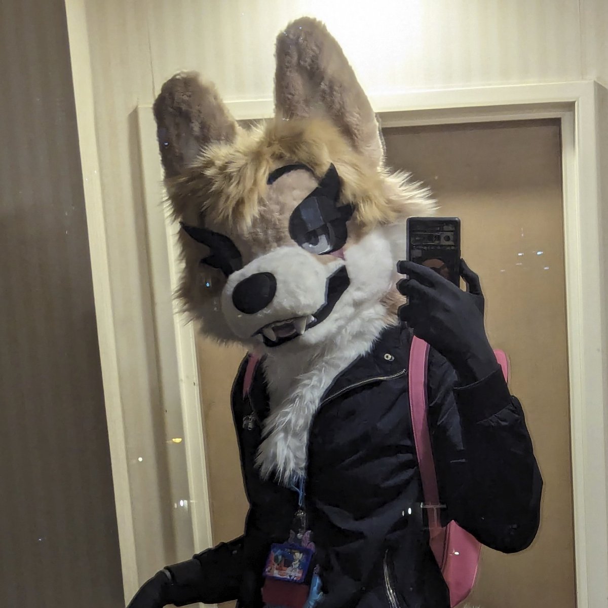 vivkelly_'s tweet photo. Hello yes I am the Transgender Dingo Twink from the Lore

Like 9/11 but a girl

Luv me PCs, Cars, Spotify Moody Mix, Fentanyl, and Whiskey https://t.co/NTt4l3Lktx