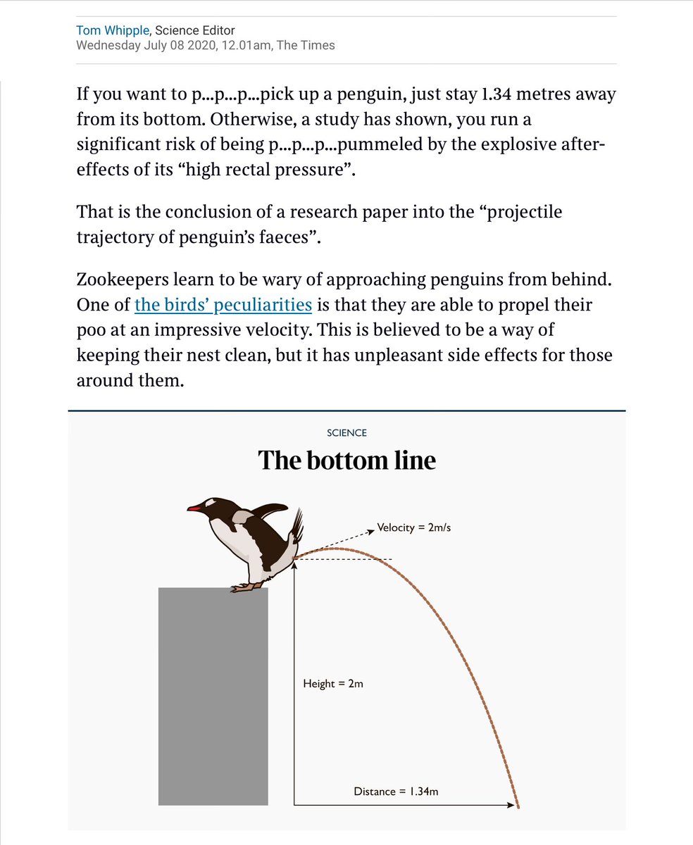 On #WorldPenguinDay we must revisit this @whippletom classic. Why it’s perilous to go within 1.34m of a penguin. thetimes.co.uk/article/c6152a…