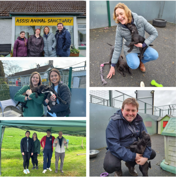CleaverFultonRankin (@cfr_law) on Twitter photo Our team was delighted to volunteer at <a href="/AssisiSanctuary/">Assisi Animal Sanctuary</a> recently, helping out with maintenance tasks and getting to meet some very cute puppies! Always a pleasure to help out at this fantastic organisation. #csr #csrday #volunteering #responsiblebusiness Our team was delighted to volunteer at <a href="/AssisiSanctuary/">Assisi Animal Sanctuary</a> recently, helping out with maintenance tasks and getting to meet some very cute puppies! Always a pleasure to help out at this fantastic organisation. #csr #csrday #volunteering #responsiblebusiness