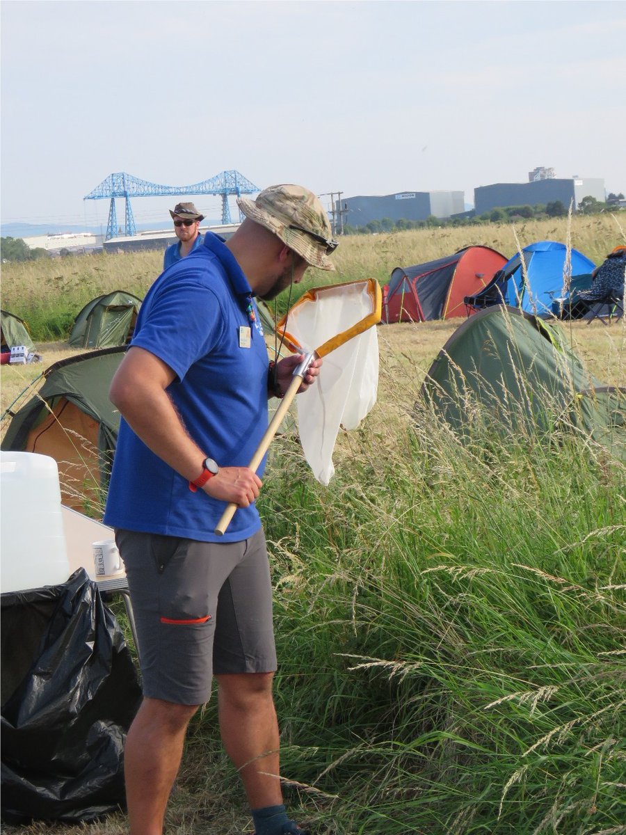 BIG WILD SLEEPOUT IS BACK!
On 15 June, we are giving YOU the opportunity to camp at Saltholme and get stuck into a wide range of activities too! Food is provided too...what's not to like?
For more information and to book tickets, visit events.rspb.org.uk/events/73316