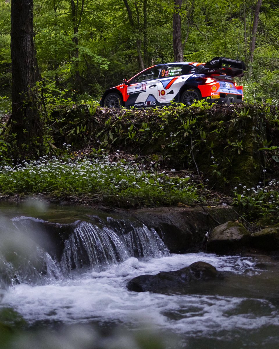 Rally + Spring 🌸 = 🤝