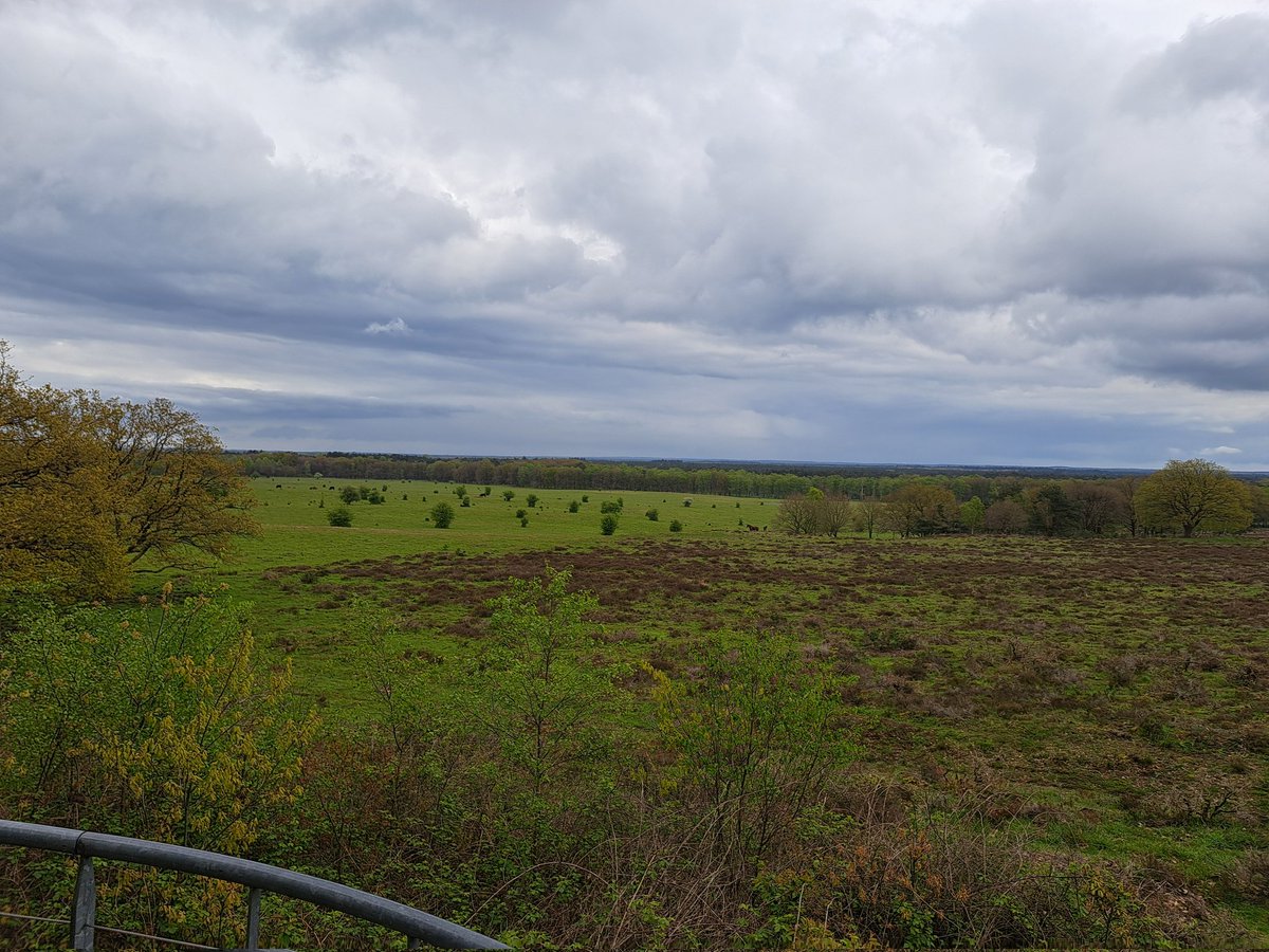 Field work day in Wageningen and in Veluwe! Did not even get wet and saw many interesting soil profiles 🤩! (And some landscapes...) #soils #fieldwork