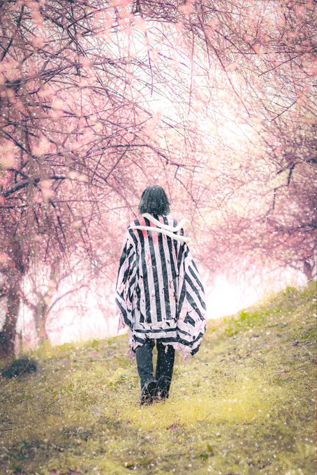 「桜 風景」のTwitter画像/イラスト(新着)