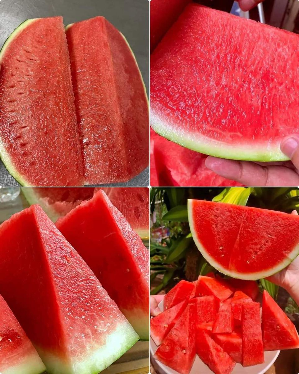 We all agreed that Watermelon is the best fruit to ever exist, right?