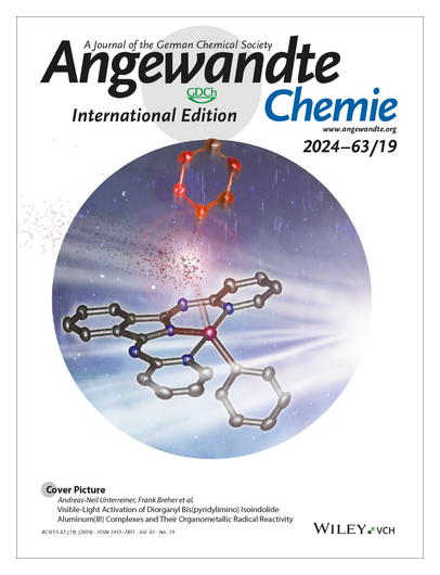 #OnTheCover Visible-Light Activation of Diorganyl Bis(pyridylimino) Isoindolide Aluminum Complexes & their Organometallic Radical Reactivity onlinelibrary.wiley.com/doi/10.1002/an… @BreherGroup @isra_group @JvanSlageren @JonasOliverW onlinelibrary.wiley.com/doi/10.1002/an…