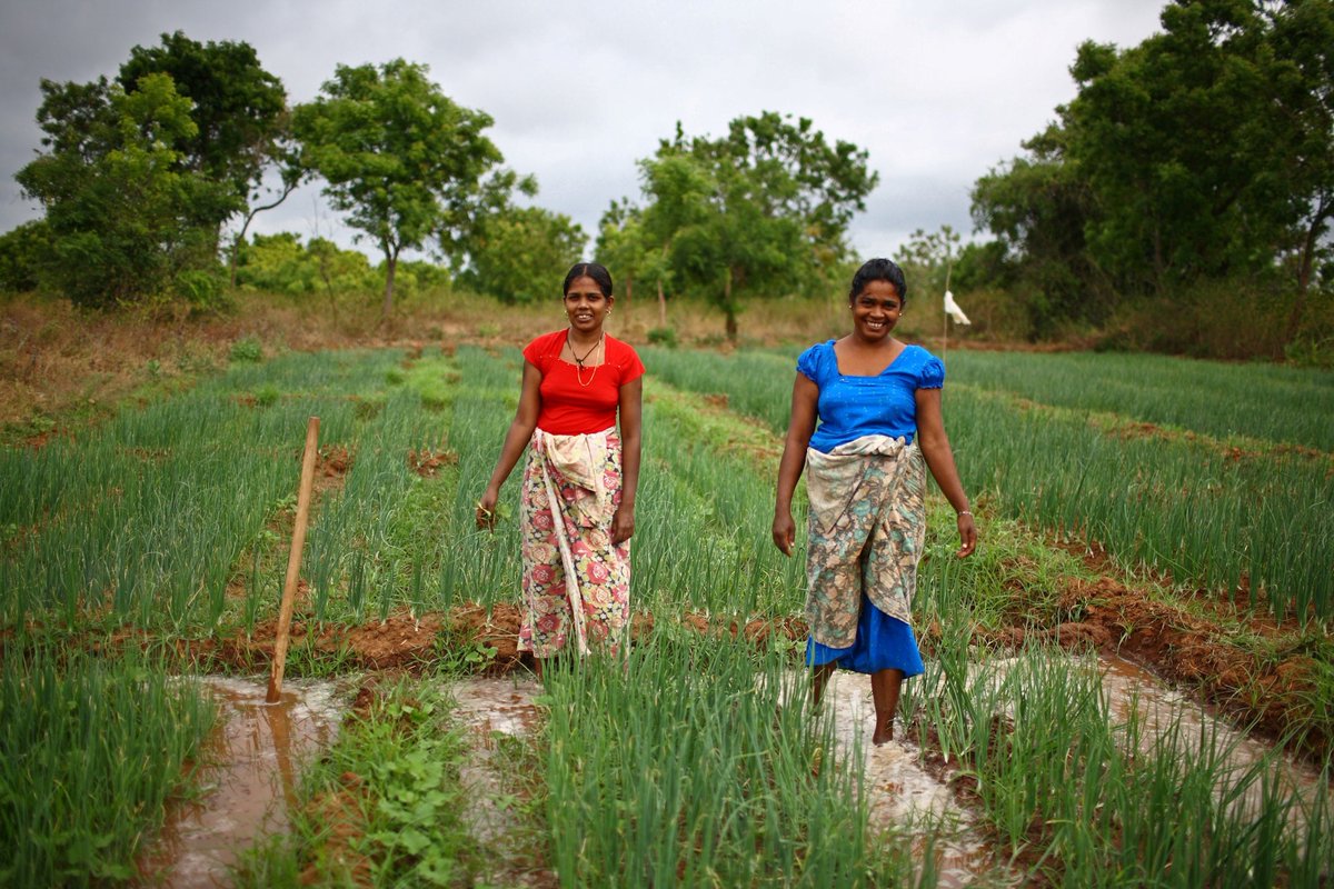 leFIDA's tweet photo. Investir dans l'#agriculture pour améliorer la nutrition n'est pas seulement un projet socialement responsable. 

⚡️C'est aussi une bonne politique de développement et une gestion efficace de l’économie. 

#FinancerlAgriculture https://t.co/i8Ieuh045Y