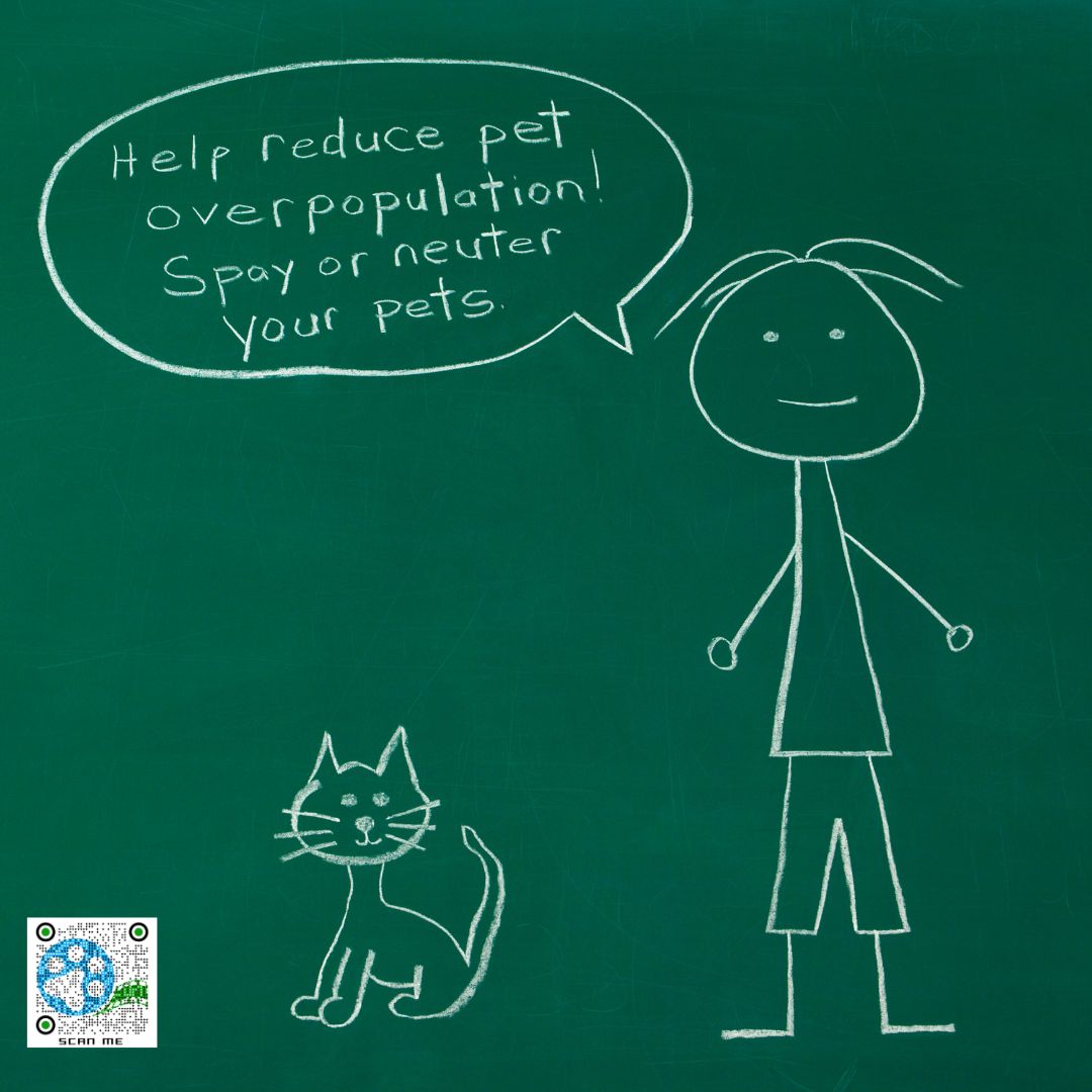 Don't let unwanted litters cramp your cat's (or dog's!) style!  Spaying and neutering keeps your pet healthy and happy, and helps prevent pet homelessness. 

#ResponsiblePetOwnership #SpayAndNeuter
