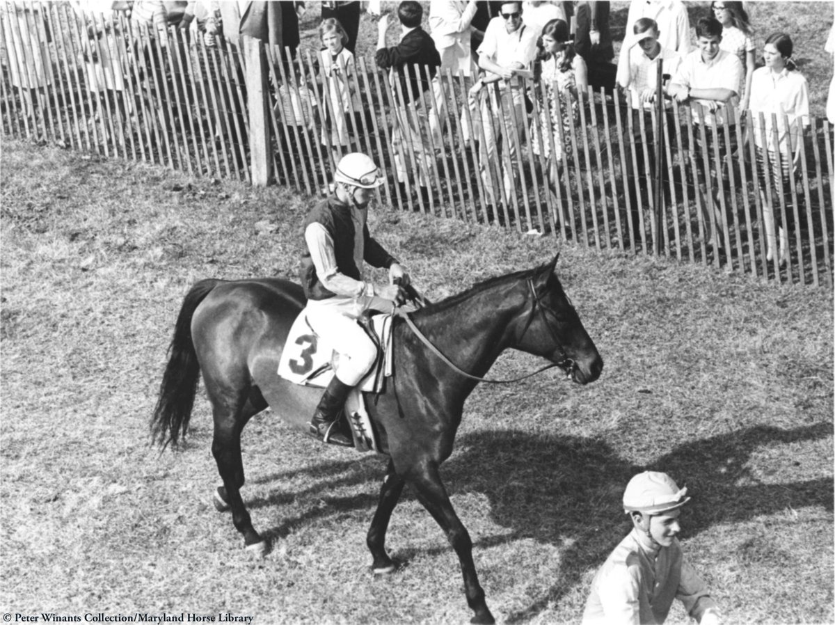 Mountain Dew etched his place in Maryland Hunt Cup history with three victories in the timber classic. The Janon Fisher Jr. homebred won in 1963, 1965, and 1967. This year's Hunt Cup takes place this Saturday, and features #MDBred Mr. Fine Threads!