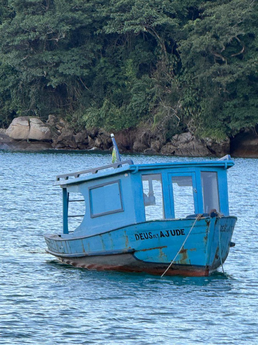 Bom dia a todos Vamos navegar no mercado