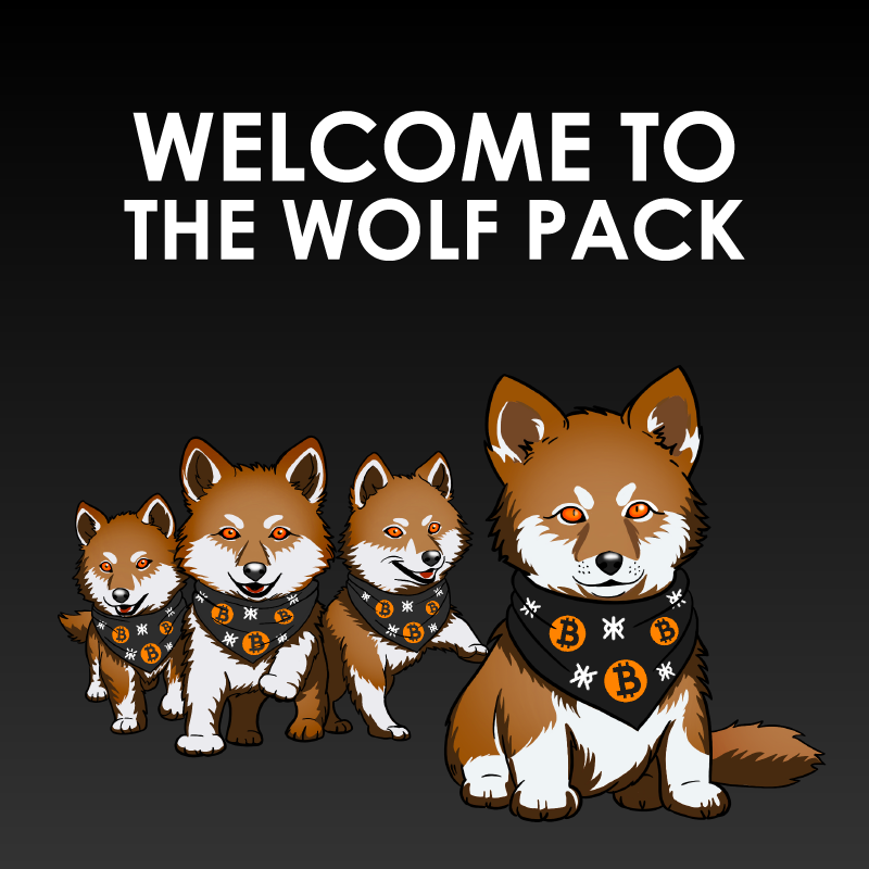 For the strength of the Pack is the Wolf, and the strength of the Wolf is the Pack. 

Let's crush it together and take $LOBO to the moon!
#runestones #runedoors