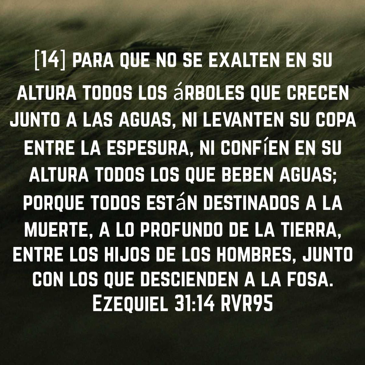 Hoy, La Biblia me enseñó: No debo confiar en mis propias fuerzas porque tenga prosperidad, esta solo me alejará más de Dios si me aferro y pongo mi confianza en ella, es mejor tenerlo en mi corazón porque él es quien le da valor a mi vida.

#ReavivadosPorSuPalabra
#Ezequiel31