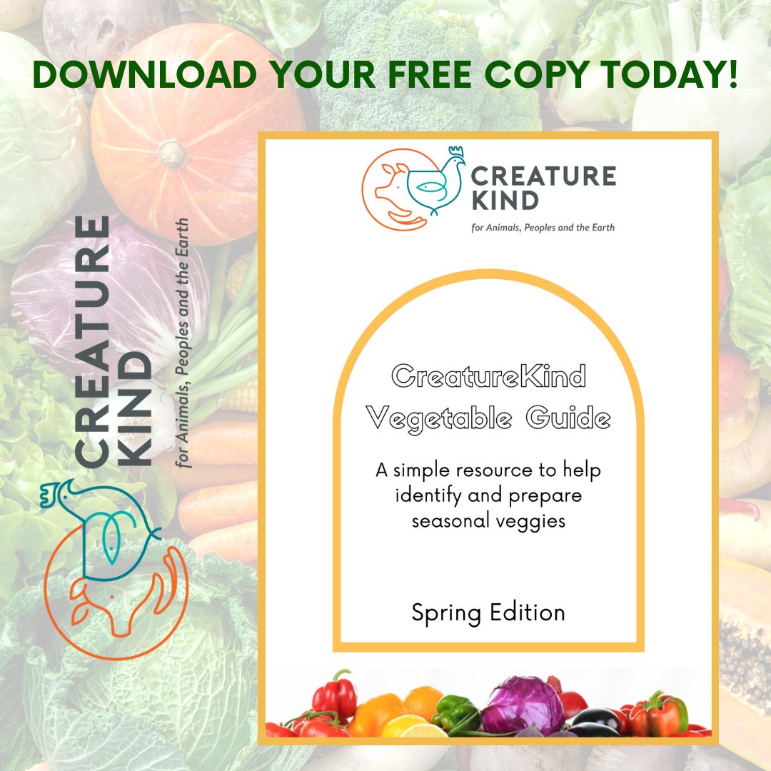 Access to fresh fruits and vegetables and the means to prepare them is part of being able to eat a nourishing vegan diet. CreatureKind created a free vegetable guide so everyone can have the knowledge needed to prepare vegetables this season.⁠

tinyurl.com/mr22wuxb