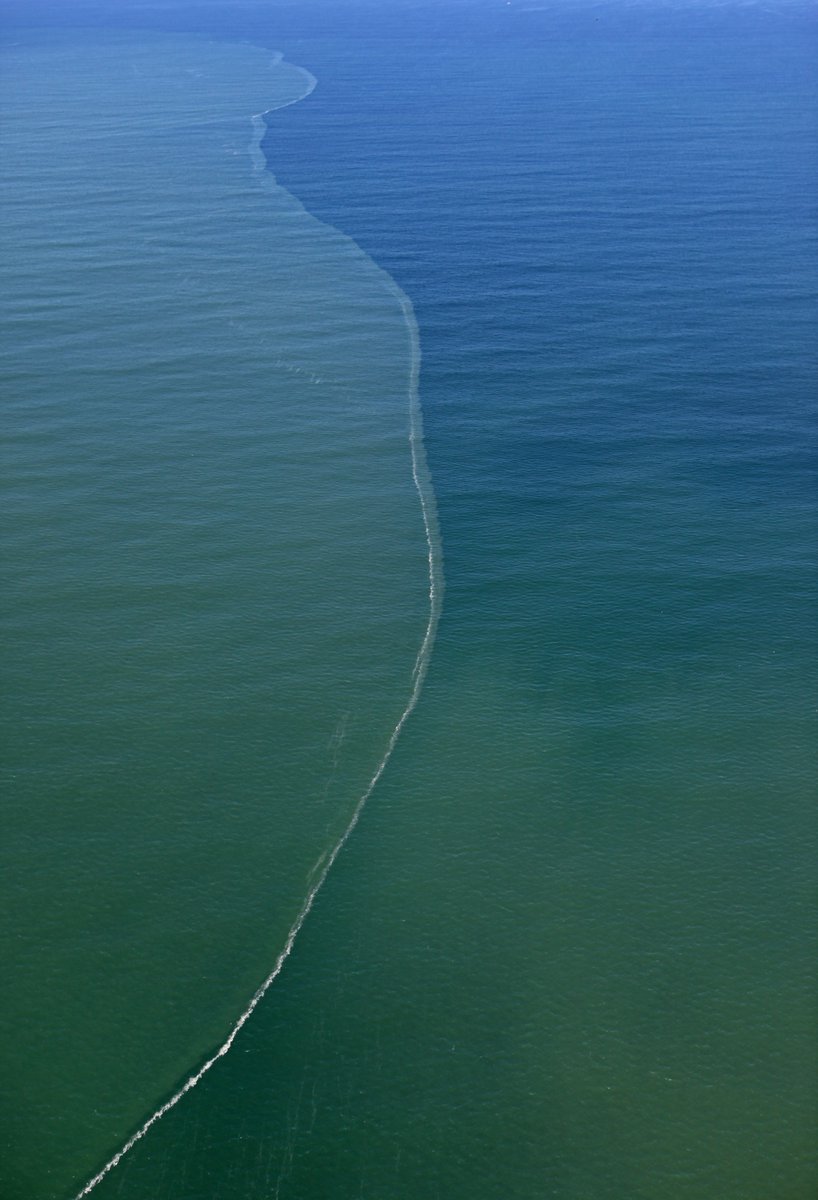 #TBT LightHawk has been flying partners over the Tijuana River for more than a decade. These photos, captured during a 2011 flight, documented sediment flowing out of the river and into the Pacific Ocean. @AmericanRivers has identified (1/2)