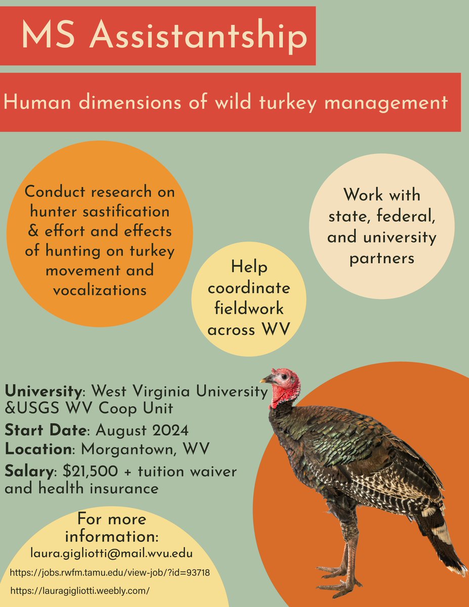 MS assistantship opening on human dimensions of wild turkey management. More information at: jobs.rwfm.tamu.edu/view-job/?id=9…