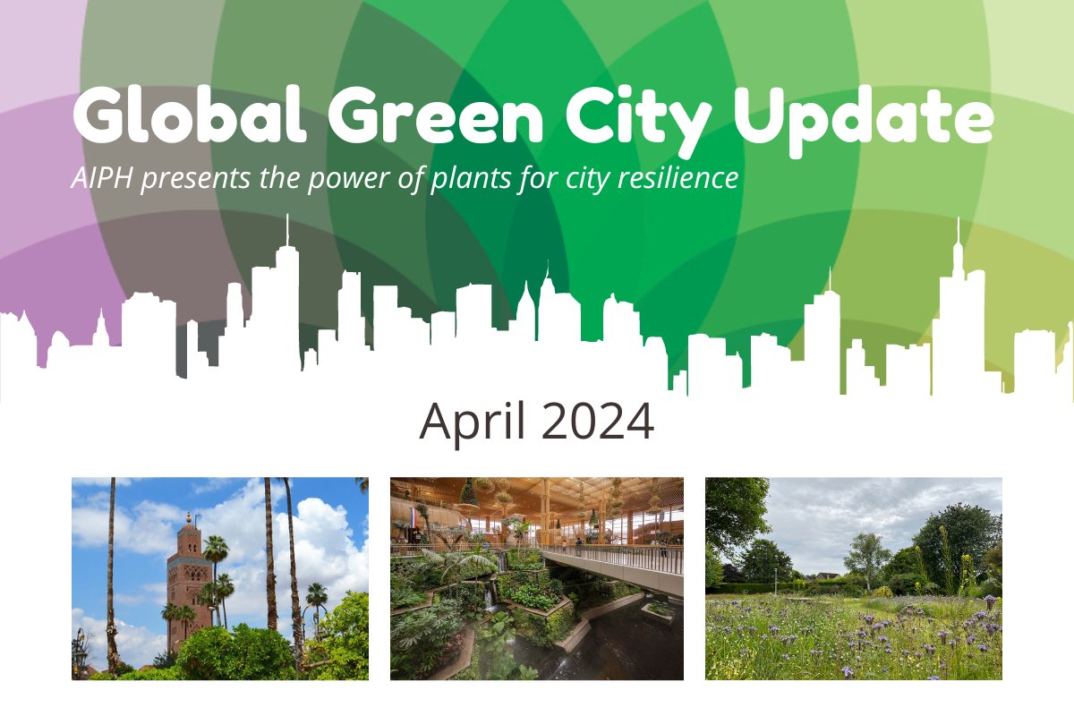 🚨Hot Off the Press🚨 The April edition of the @AIPHGlobal #GreenCityUpdate is out. Proudly featuring your monthly roundup of the latest news, events, #casestudies, principles, best practice, research, & more in the global #GreenCity space Find It Here: aiph.org/green-city/glo…