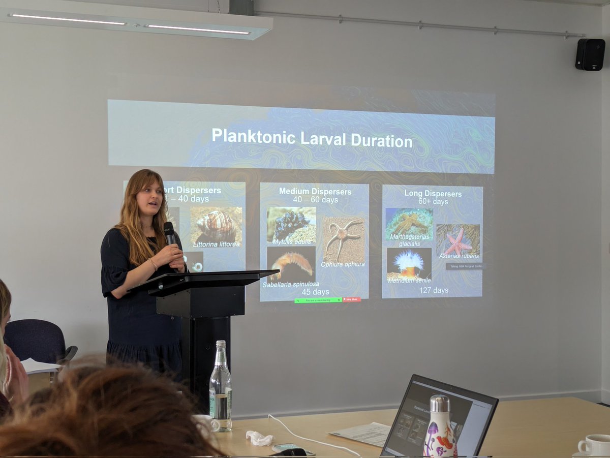 Lilian Lieber tweet media