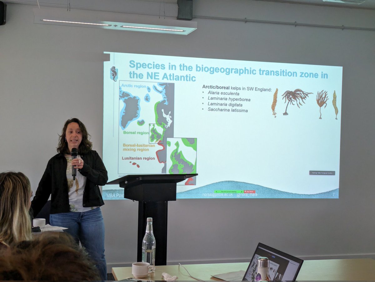 Lilian Lieber tweet media