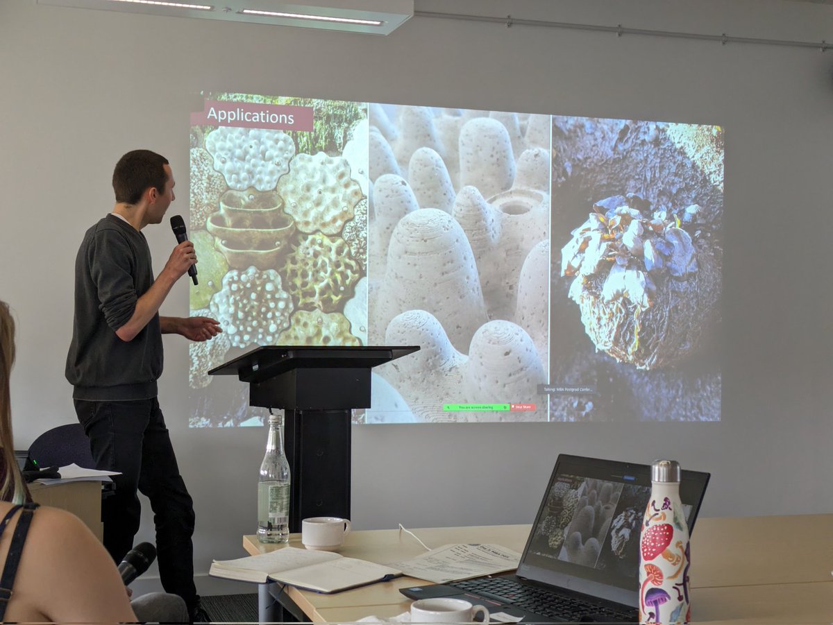 Lilian Lieber tweet media