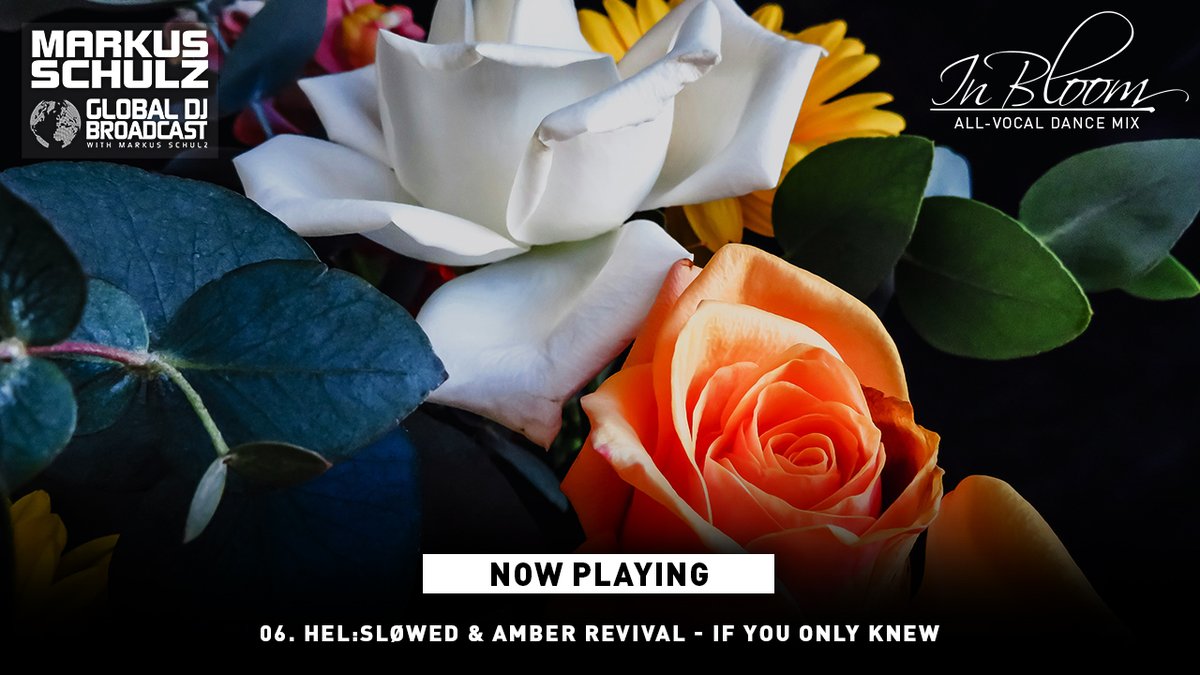 Markus Schulz tweet media