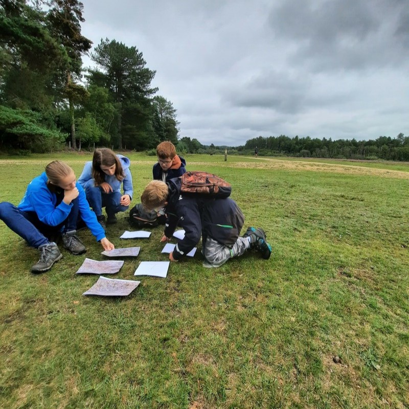 We have spaces available on our Junior Rangers sessions for 11-18-year-olds in May and June, including one with @Freshwaterhabs To get involved email: education@newforestnpa.gov.uk Find out more about New Forest Junior Rangers on our website: newforestnpa.gov.uk/communities/yo… #YouCAN