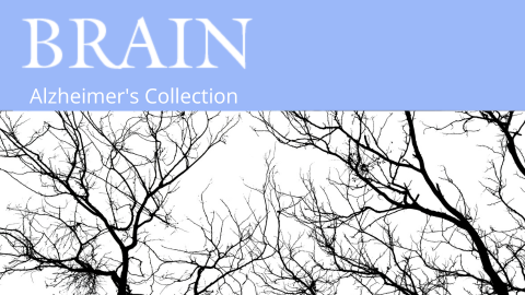 Explore our new Alzheimer's Collection - we invite our readers to enjoy some of the most stimulating and provocative papers on the neuroscience and neurology of Alzheimer’s disease. academic.oup.com/brain/pages/al…