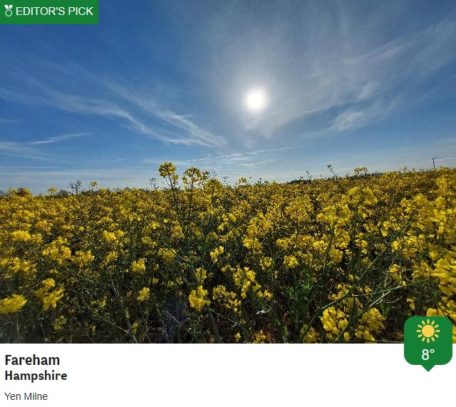 Before the cloud and rain arrived there was some lovely sunny conditions this morning. @BBCWthrWatchers