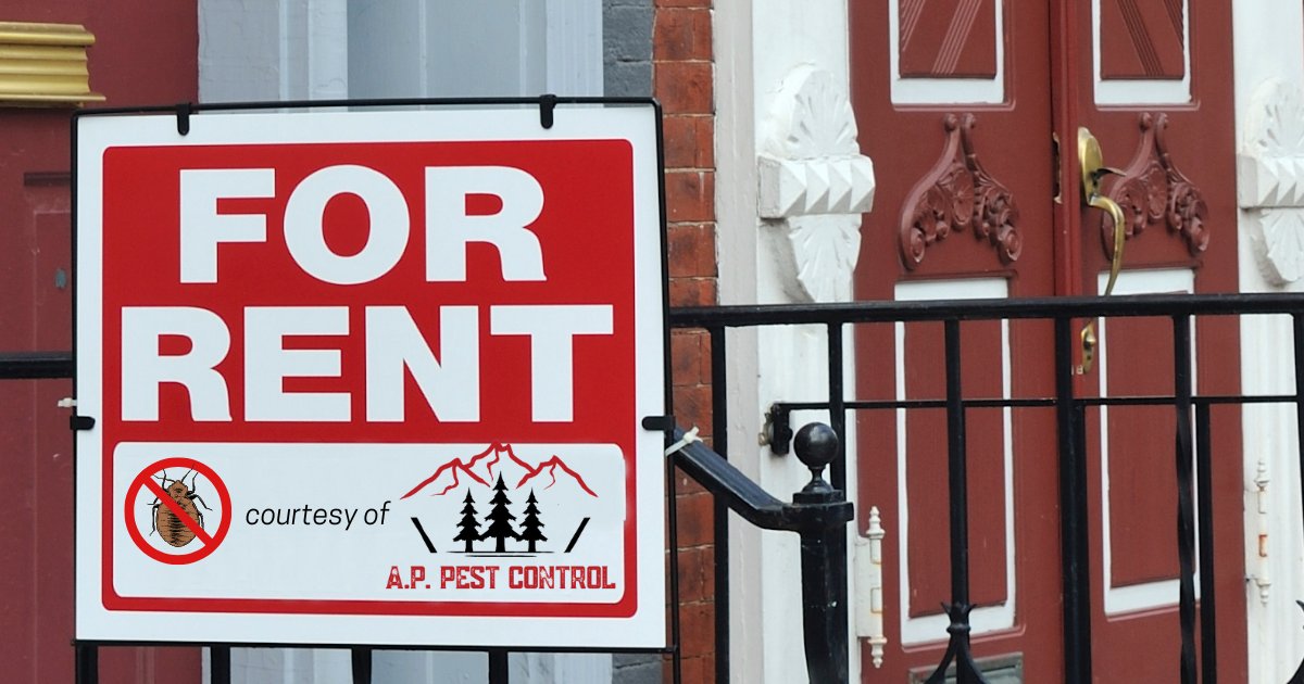 🛎️ Attention landlords and property managers! Protect your tenants and reputation with our reliable rental property pest control services. Keep your properties pest-free and your tenants happy. 🏢 #LandlordLife #HappyRenters #ColoradoHousing