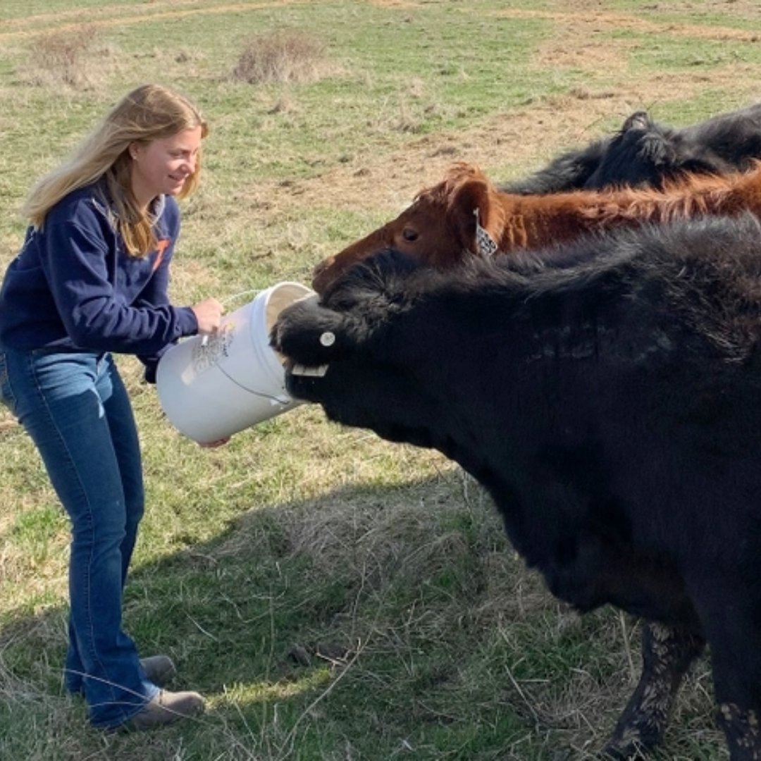 ACESIllinois's tweet photo. Through new course, students work with @TheUrbanCowboy/@hollyspangler to publish in @Prairie_Farmer. 📰

🔶The future of the livestock industry is in our hands by Olivia Charles

🔷Livestock program takes students from campus to the farm by Maddie Heidtke

https://t.co/cHqSsHK6EE https://t.co/3NgDfSGTga